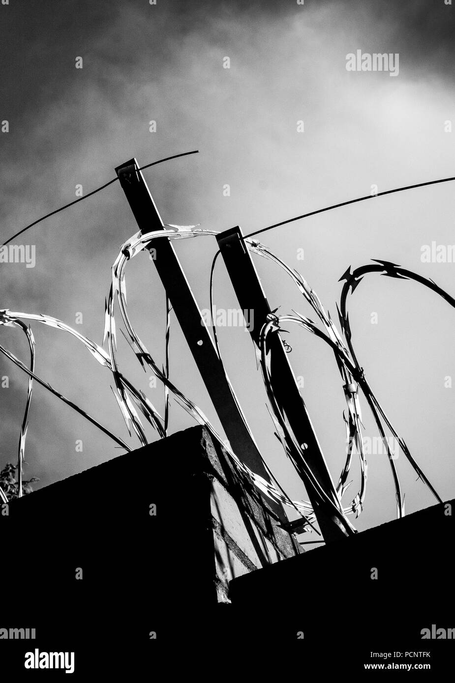 Nahaufnahme von Stacheldraht, Stacheldraht, Stacheldraht auf den bewölkten Himmel in den Farben Schwarz und Weiß Stockfoto