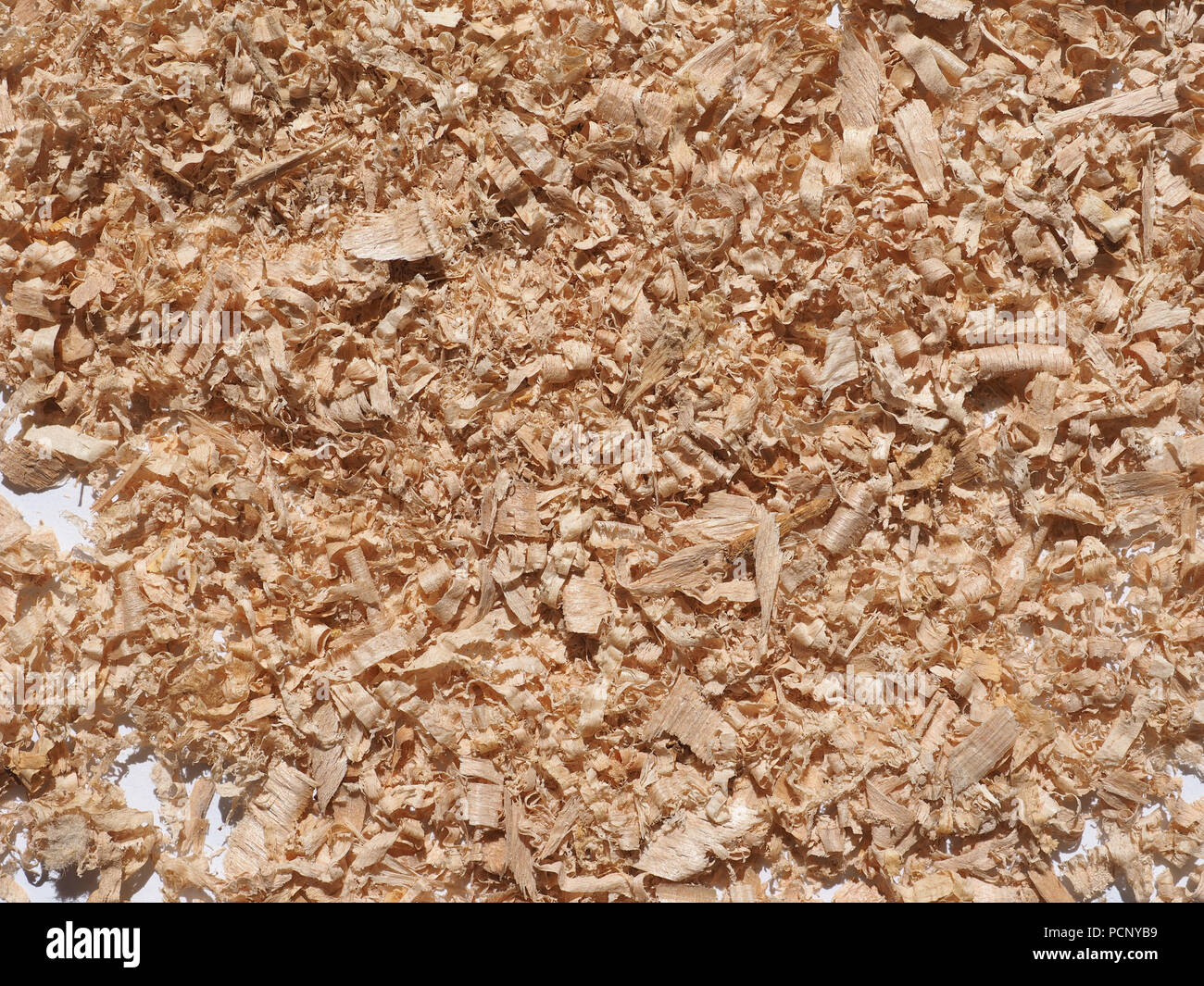 Holzstaub Holzstaub Nebenprodukt oder Abfallprodukt der Holzbearbeitung Arbeiten wie Sägen Fräsen Hobeln routing Bohren und Schleifen aus feinen Pa Stockfoto