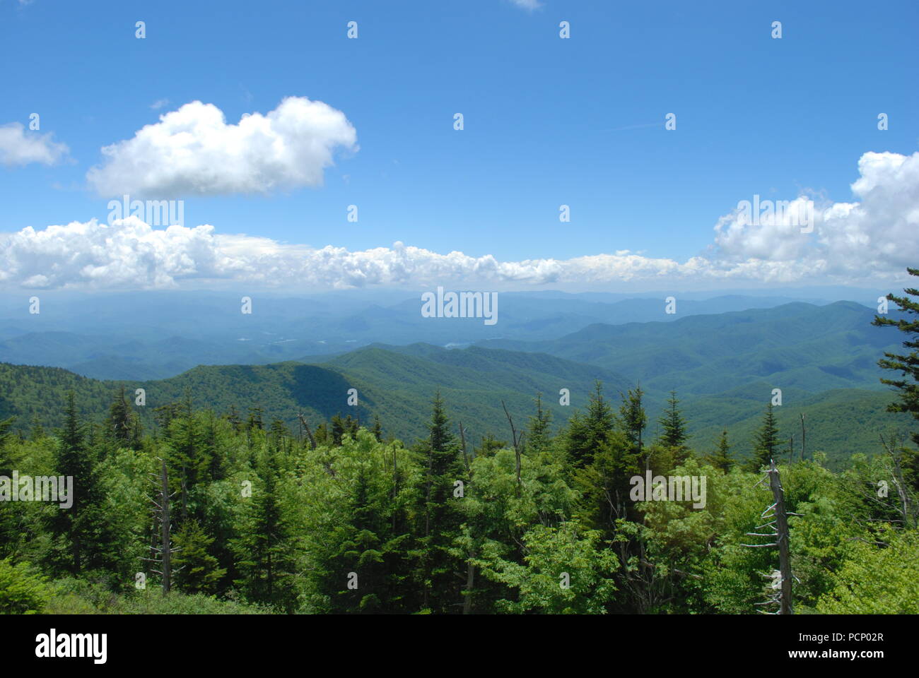 Berge, offen mit blauem Himmel und Wald. Stockfoto