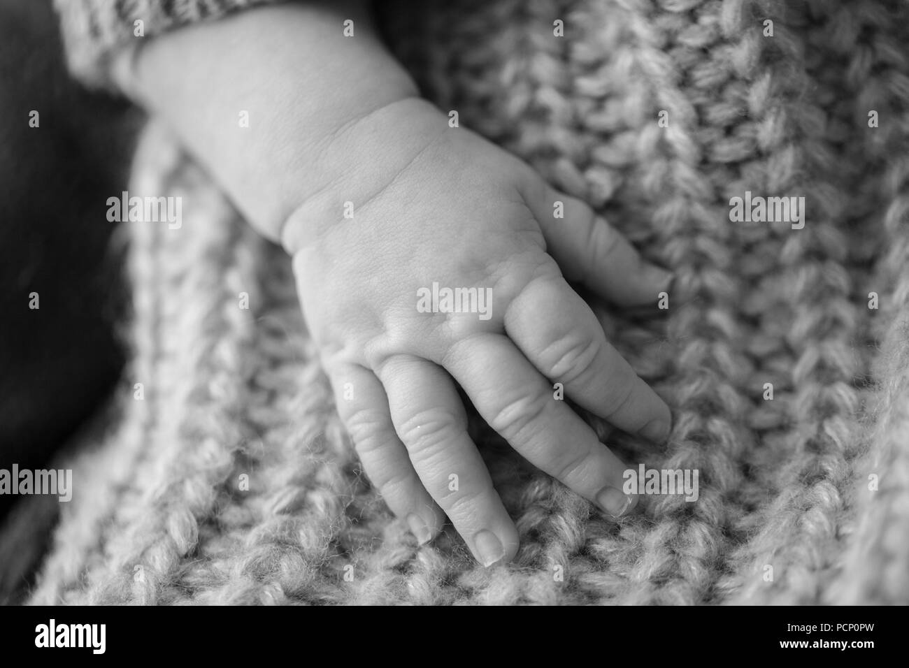 Baby's Hand auf eine gestrickte Decke, Nahaufnahme, Detail, b/w Stockfoto
