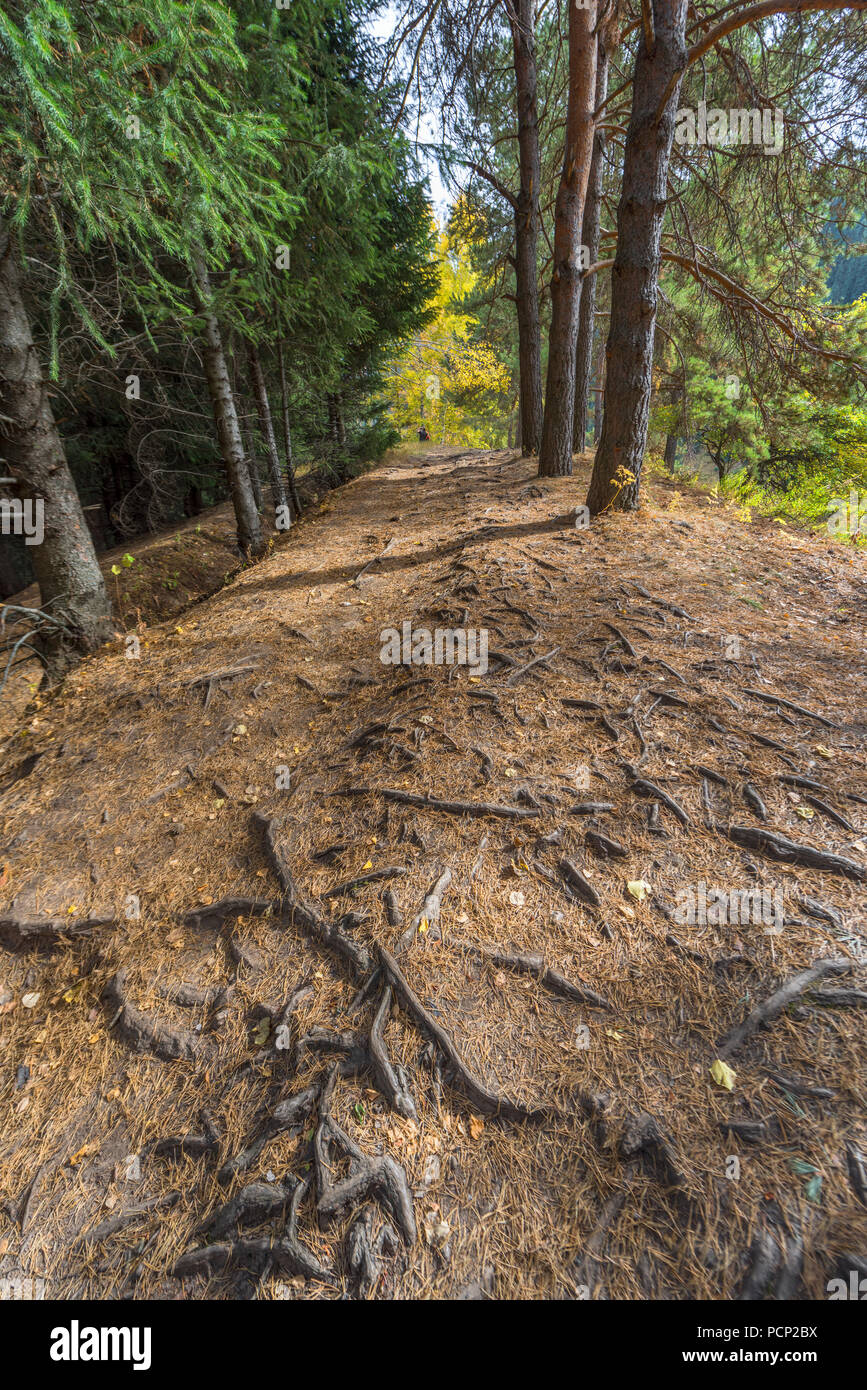 Herbst weg in den Bergen in der Nähe von Almaty, Kasachstan Stockfoto