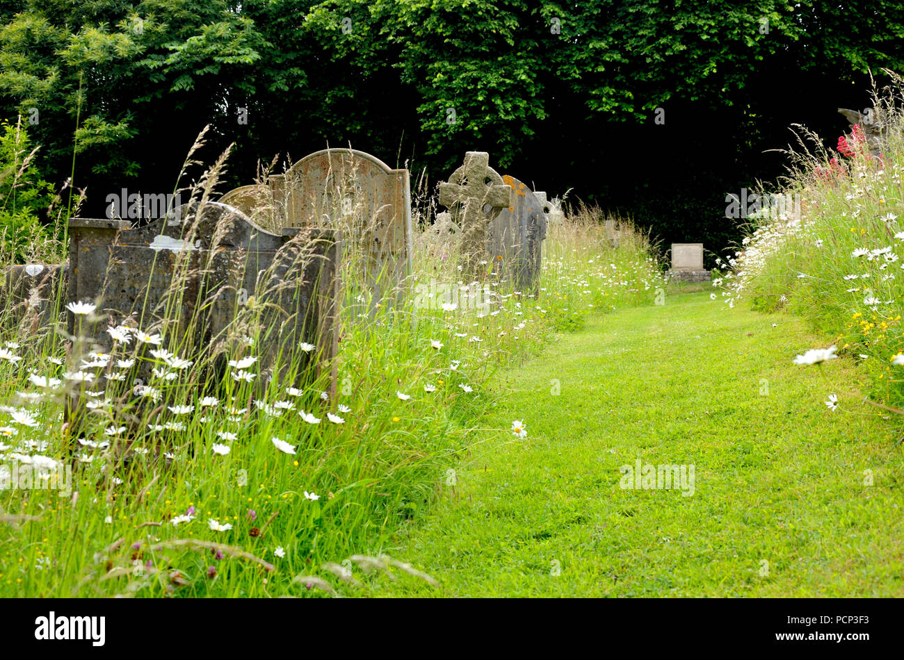 Boughton Monchelsea Dorf, Kent, England. St Peter's Church Yard - Weg durch das lange Grass Stockfoto