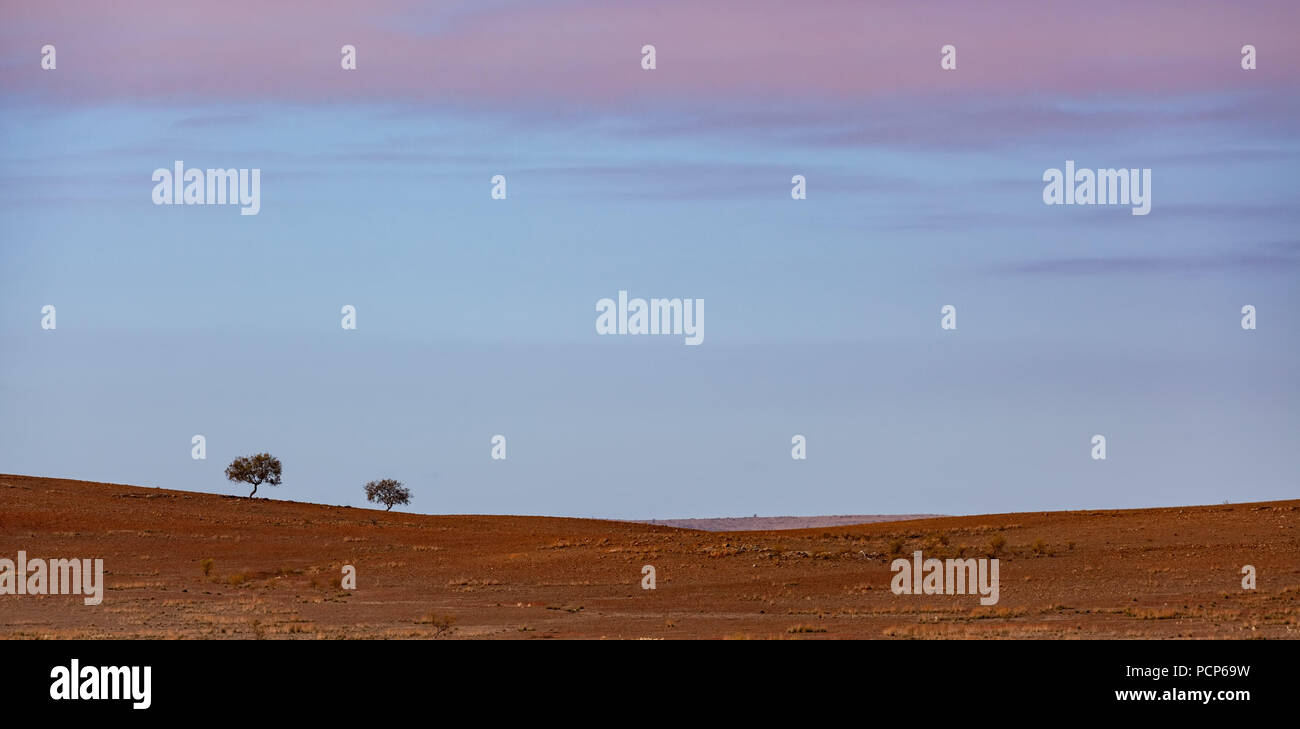 Minimalistische Landschaft - zwei Bäume rot Schmutz karge Land bei Sonnenaufgang wachsende Stockfoto