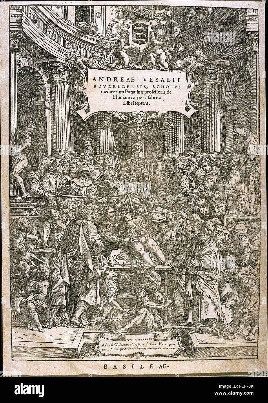 Titelblatt von De Humani Corporis Fabrica von Andreas Vesalius, ca 1543. Stockfoto