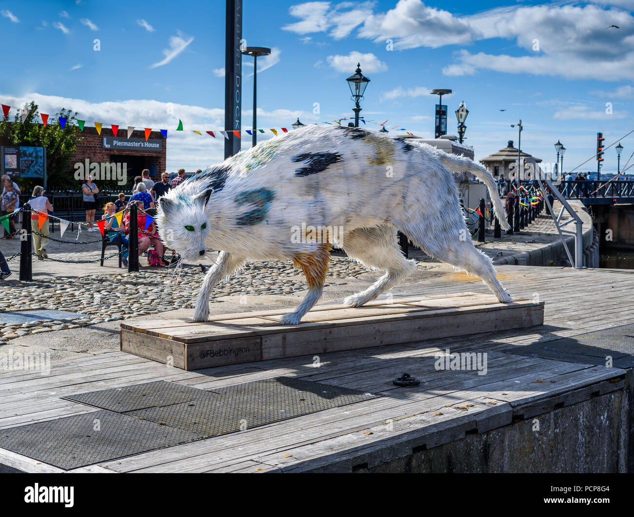 Riesigen Schiffe Katze durch den Glauben Bebbington auf Anzeige am Albert Dock installiert während der Tall Ships Festival im Mai 2018. Stockfoto