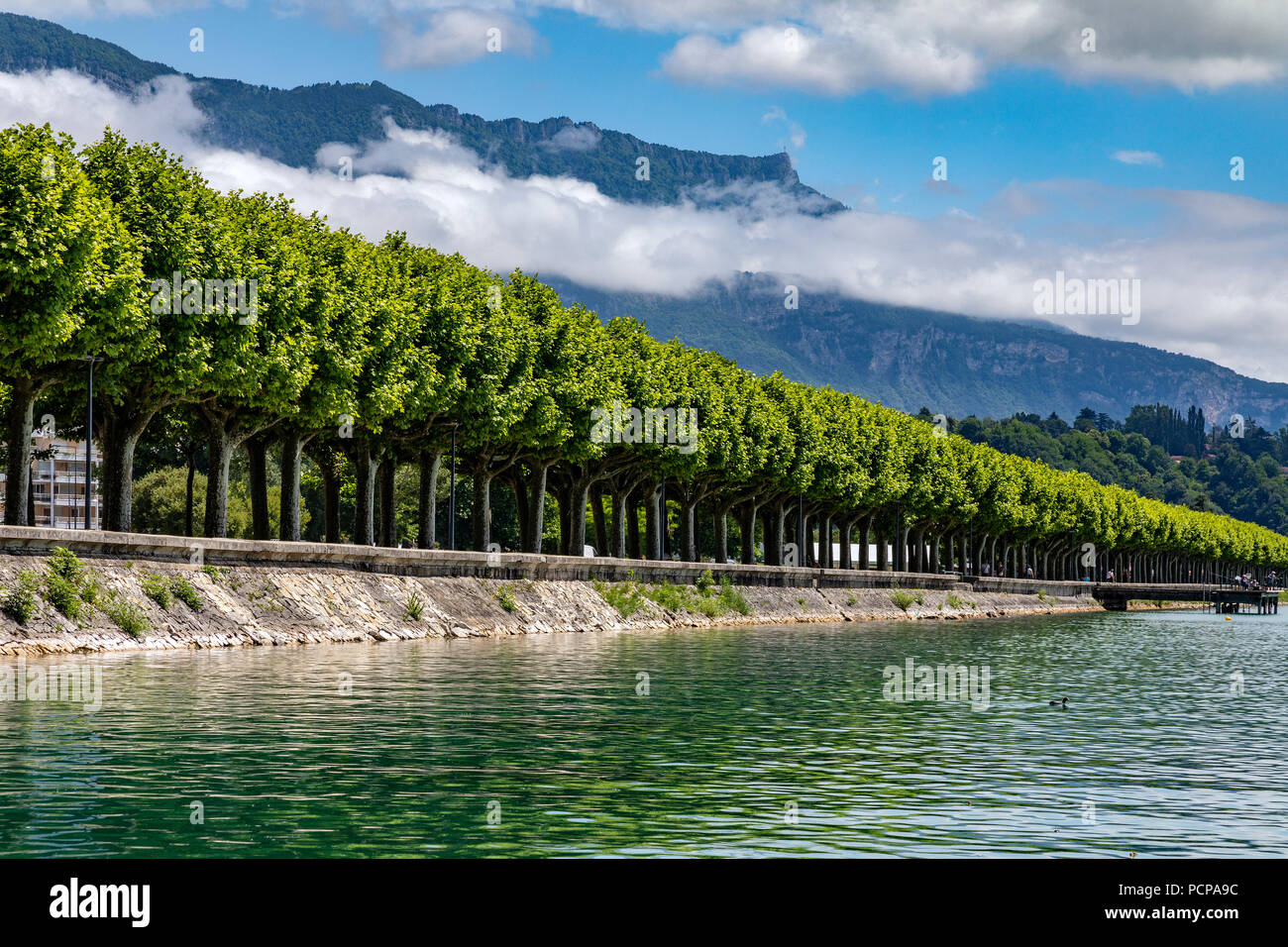 Den von Bäumen gesäumten Boulevard Du Lac im Grand Port in der Nähe von Aix-les-Bains in der Auvergne-Rhone-Alpes im Südosten Frankreichs. Im Osten Stockfoto
