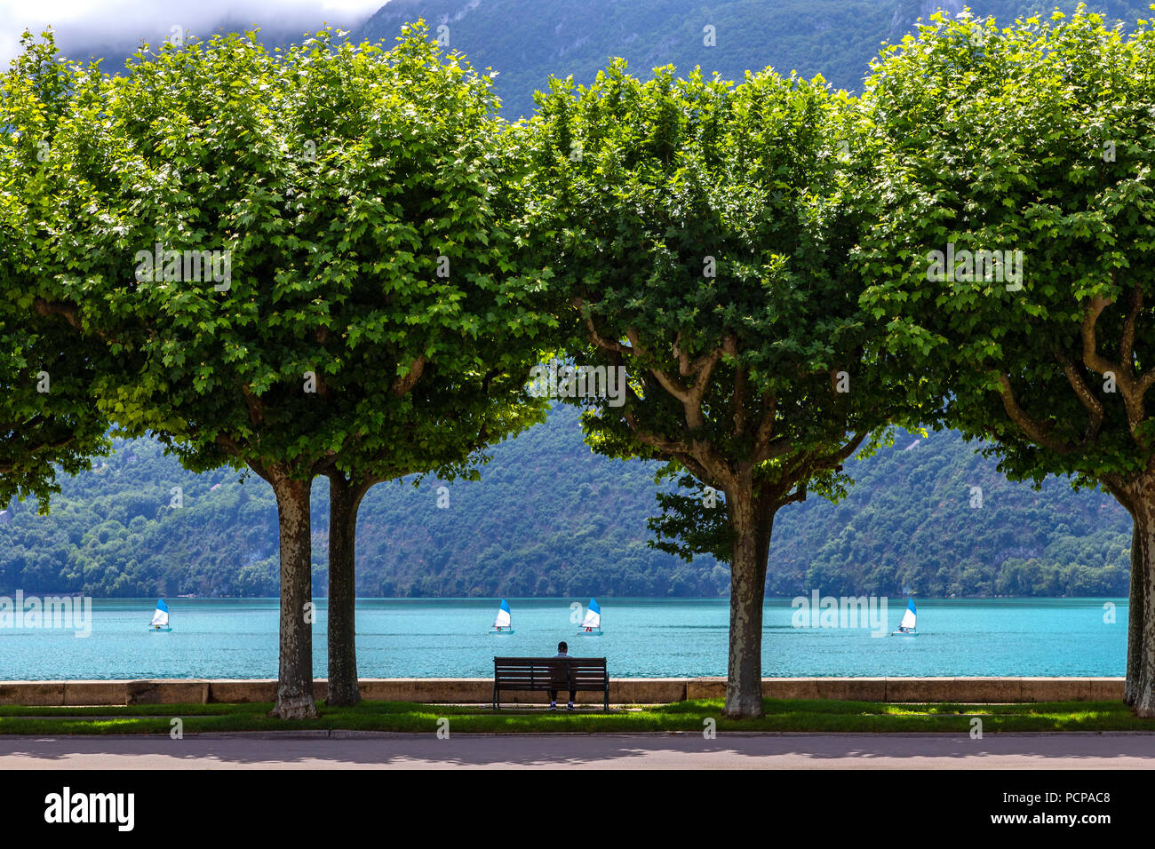 Den von Bäumen gesäumten Boulevard Du Lac im Grand Port in der Nähe von Aix-les-Bains in der Auvergne-Rhone-Alpes im Südosten Frankreichs. Im Osten Stockfoto