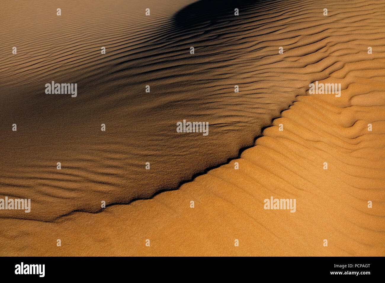 Muster in den Sand einer Sanddüne, die durch den Wind erzeugt, Südafrika Stockfoto