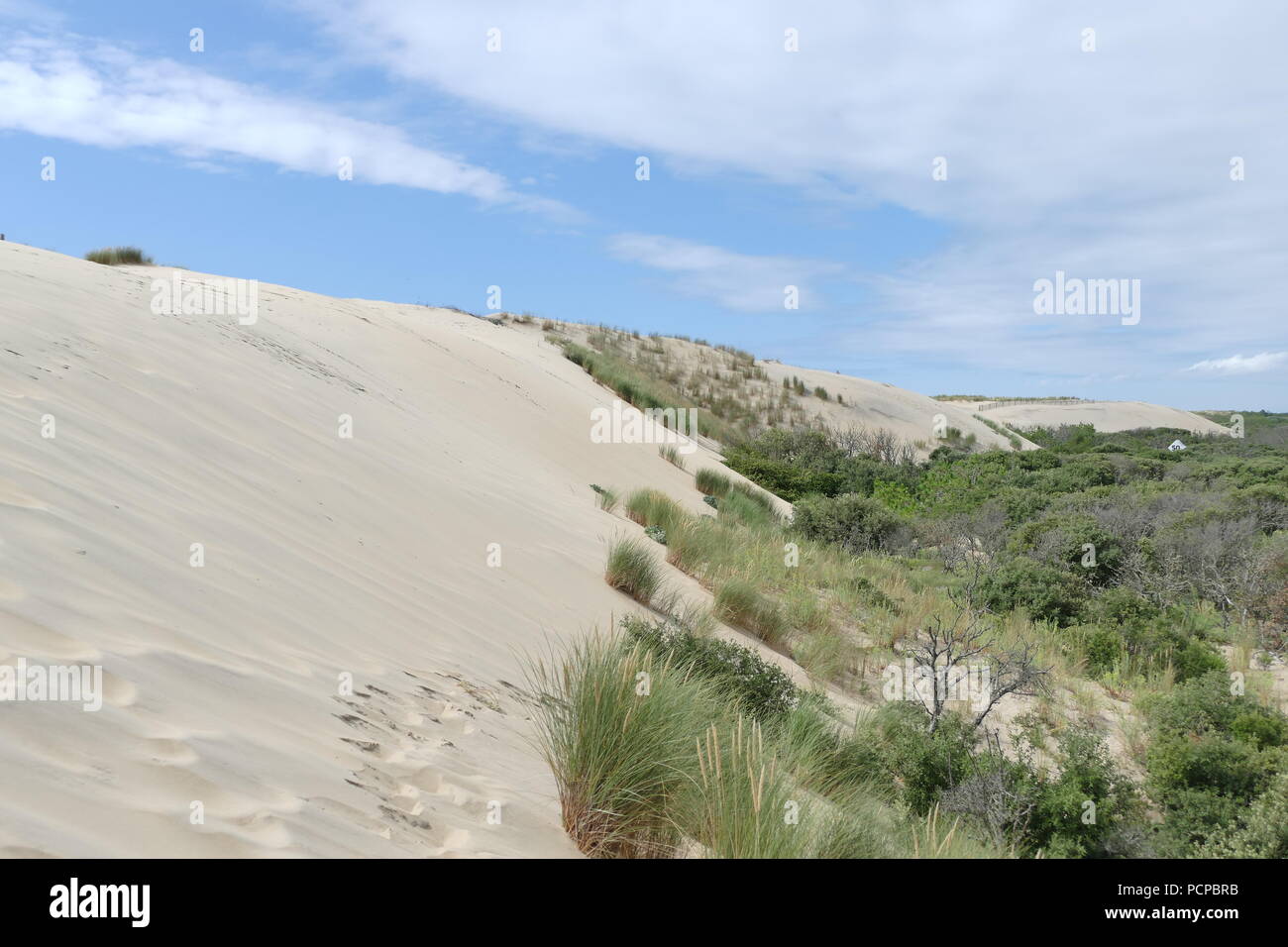 Dune Sand am Meer am blauen Himmel Stockfoto