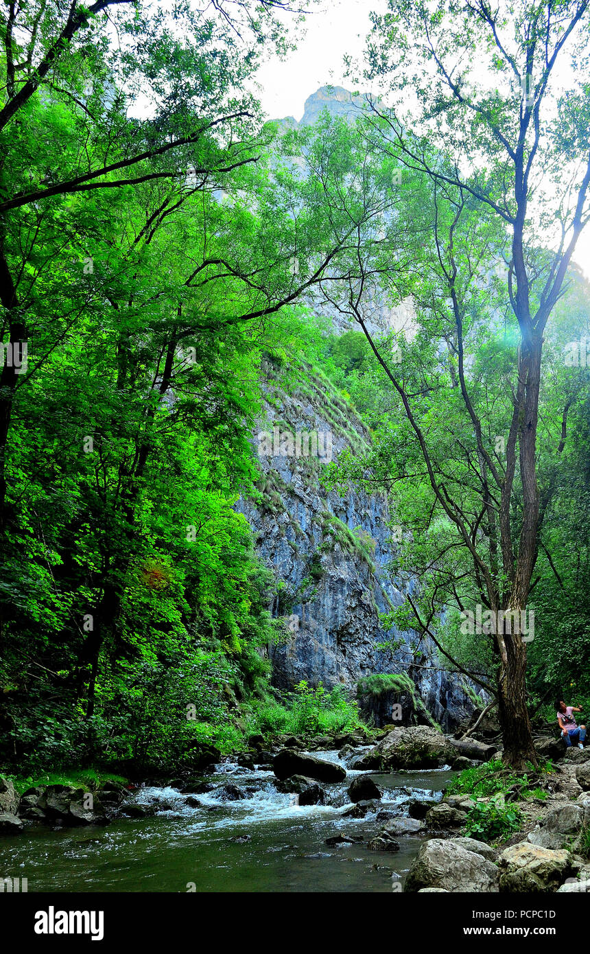Kleine Mountain River in Cheile Turzii, Siebenbürgen, Rumänien Stockfoto