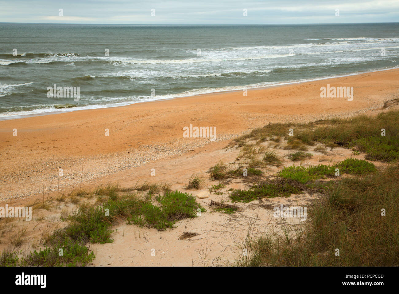 Strand geöffnet, Guana Tolomato Matanzas National Mündungs- Forschung finden, Florida Stockfoto