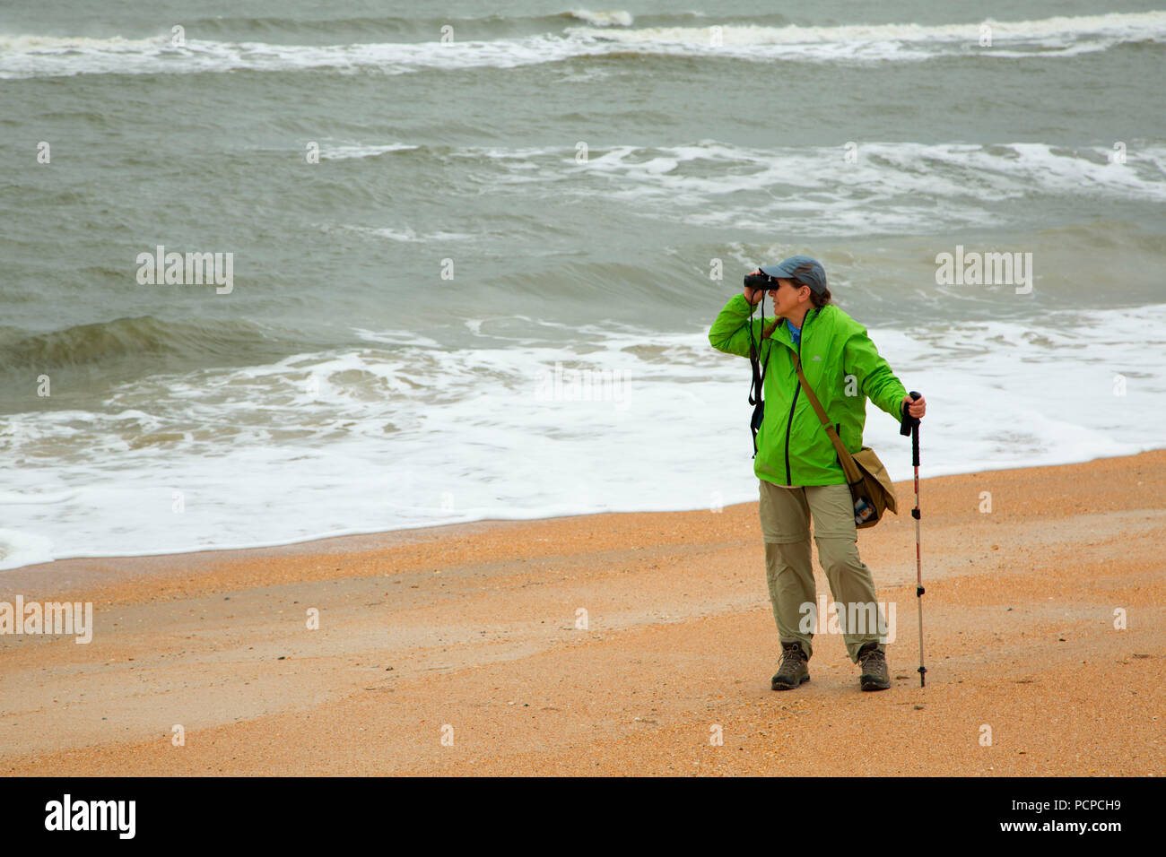 Strand geöffnet, Guana Tolomato Matanzas National Mündungs- Forschung finden, Florida Stockfoto