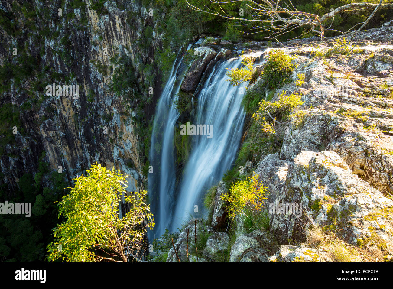 Die ikonischen Minyon fällt auf die Buße Creek in den nördlichen Flüsse Region von New South Wales. Australien Stockfoto