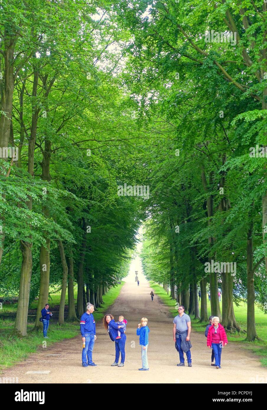 Allee, in Richtung Blanche vase - Chatsworth House - Derbyshire, England - 03580. Stockfoto