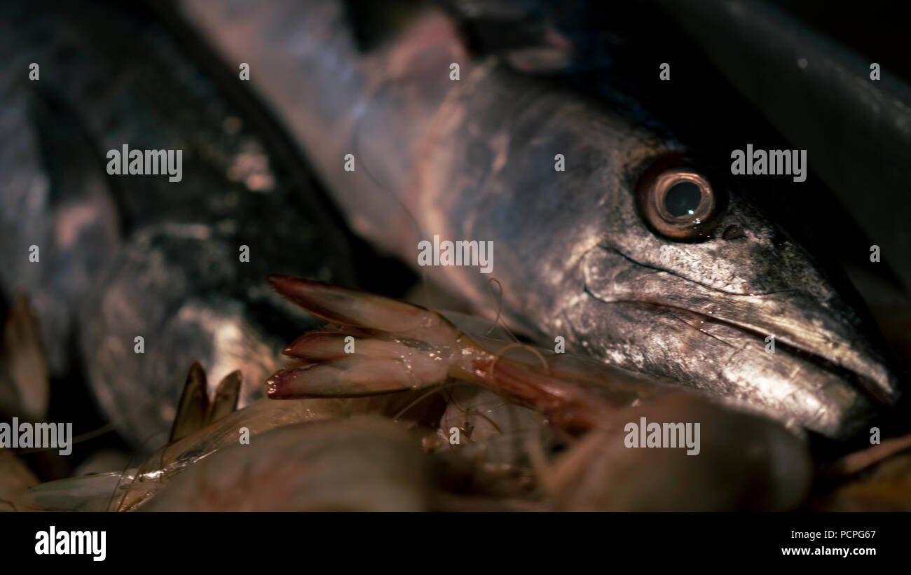 Ein Fisch sieht von der Fischhändler Tabelle Stockfoto