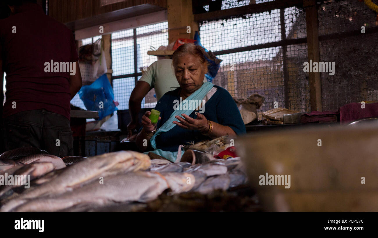 Eine weibliche Fischhändler blickt auf ihr Lager Stockfoto