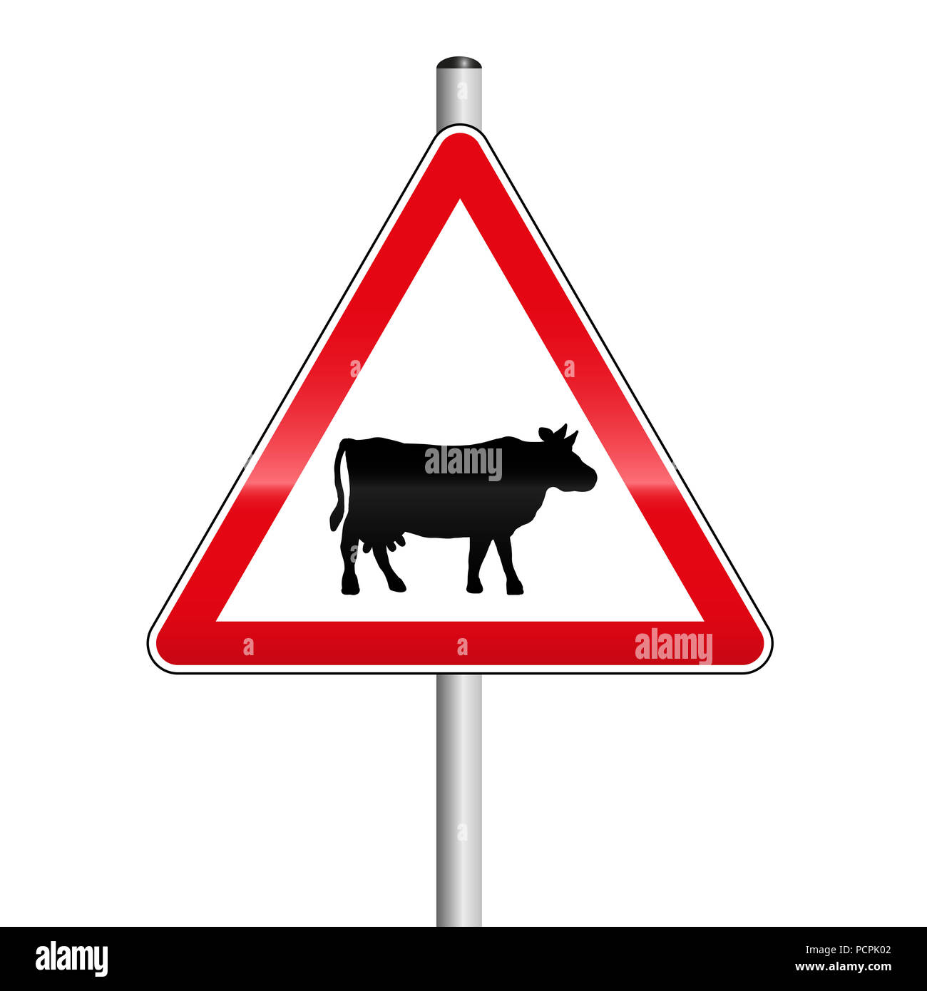 Vorsicht, Kuh oder Rinderherde Überqueren der Straße. Verkehrsschild. Stockfoto
