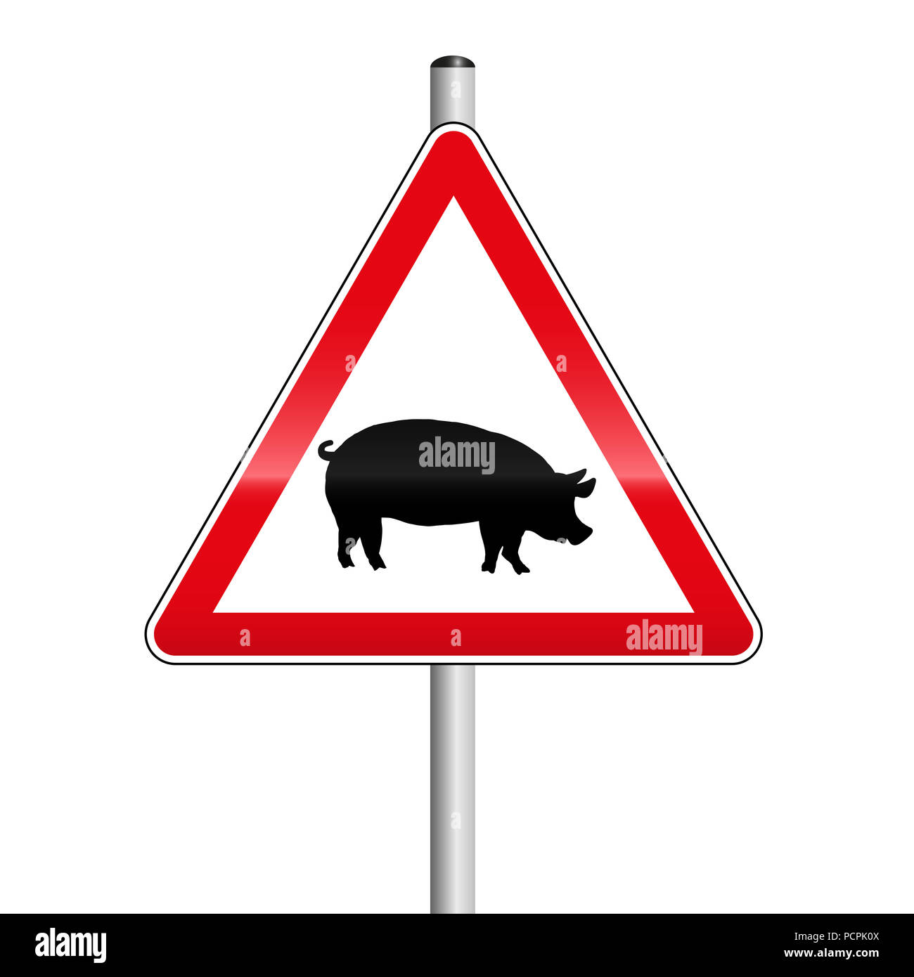 Vorsicht Straßenschild mit Schwein. Vorsicht vor den Schweinen auf der Straße. Stockfoto