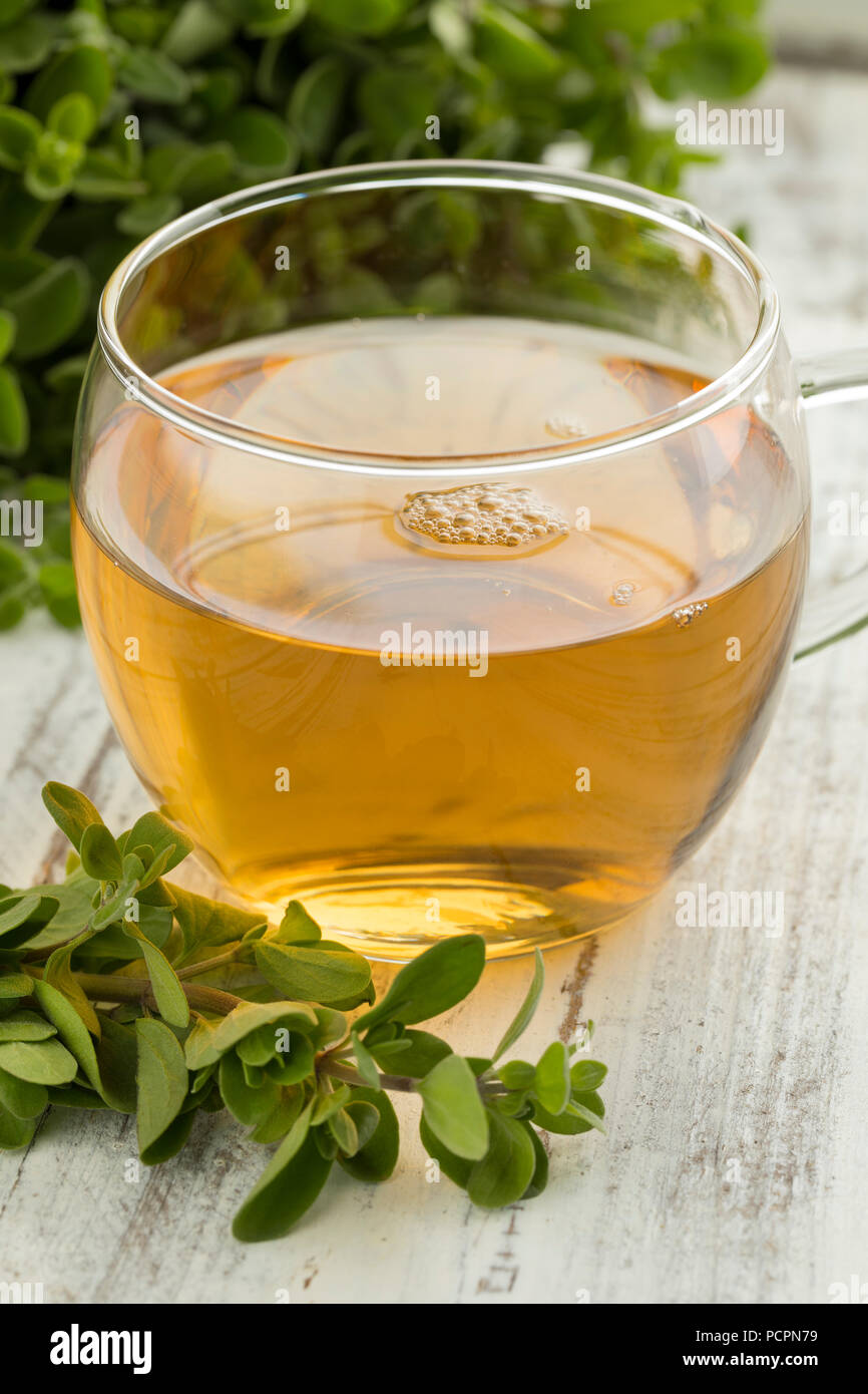 Glas Tasse Kräutertee und ein Zweig frischer Majoran Stockfoto