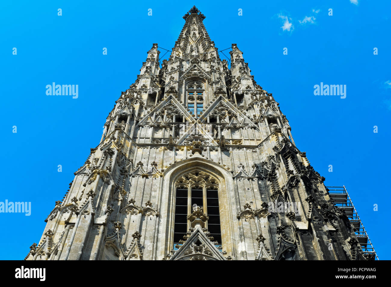 South Tower, Detail, St. Stephen's Cathedral, Stephansdom, Wien, Österreich Stockfoto