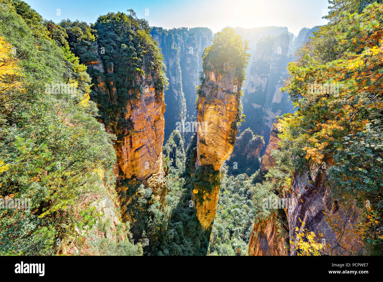 Natürlicher Quarz Sandstein Säule der Avatar Hallelujah Berg ist 1.080 Meter (3.540 ft) in der Zhangjiajie National Forest Park in Wulin Stockfoto