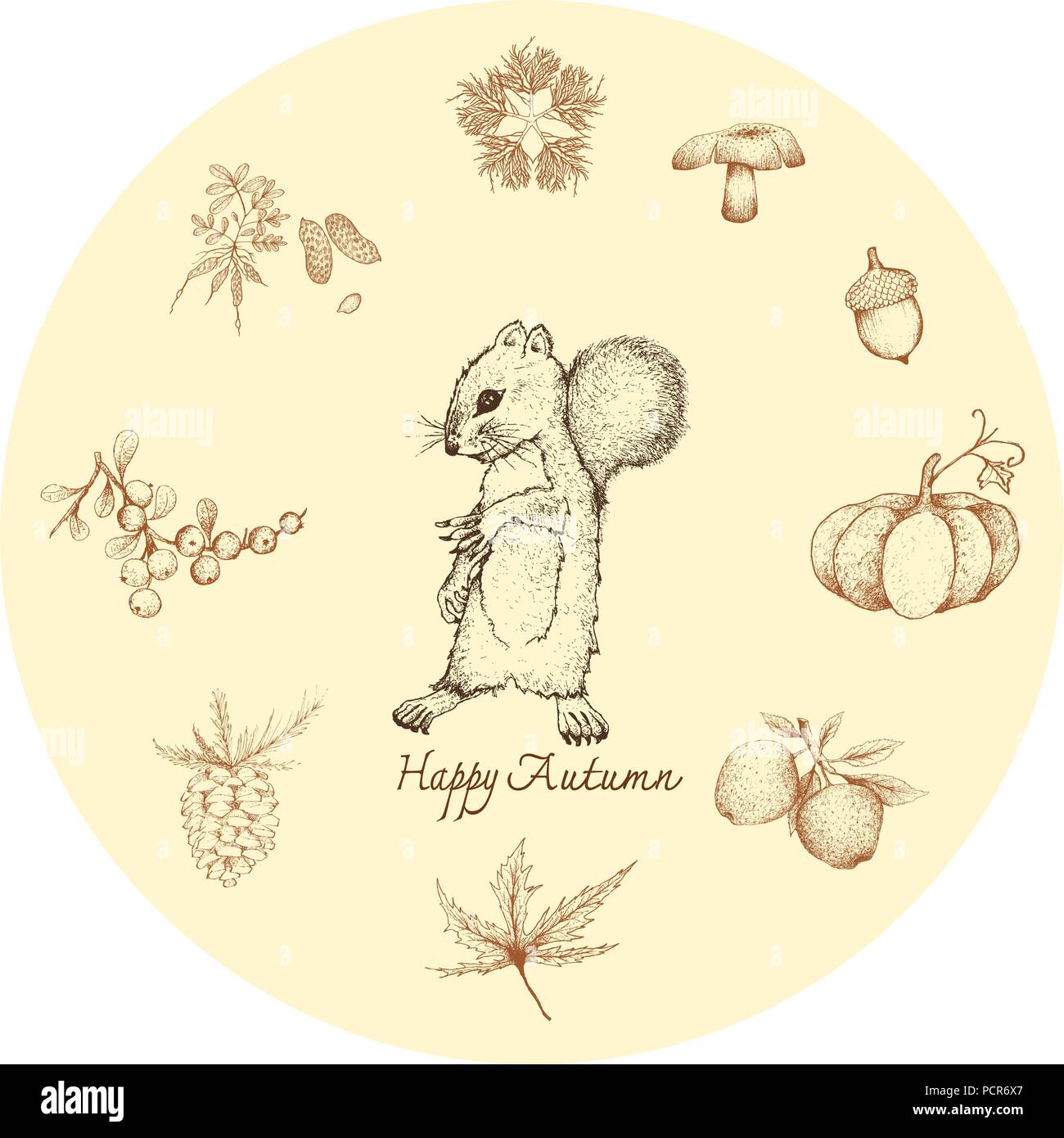Herbst Tier, Illustration Hand gezeichnet von Eichhörnchen mit Pine Blätter und Früchte, Pilze, Acorn, Kürbis, Apfel, Ahorn, Berry und Erdnüssen. Symbolische EIN Stock Vektor