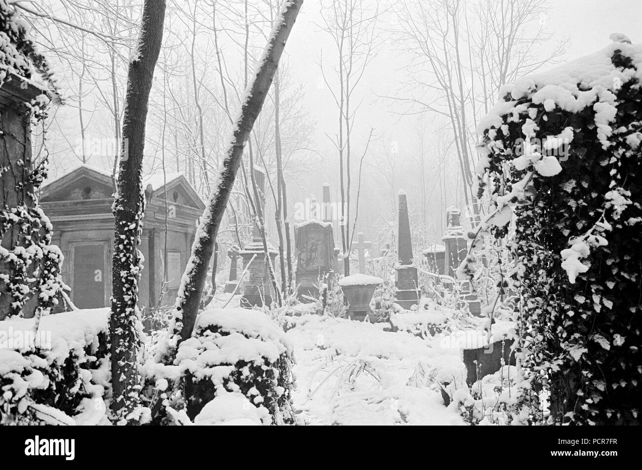 Highgate Cemetery, Hampstead, London, Winter 1982. Artist: John Gay. Stockfoto