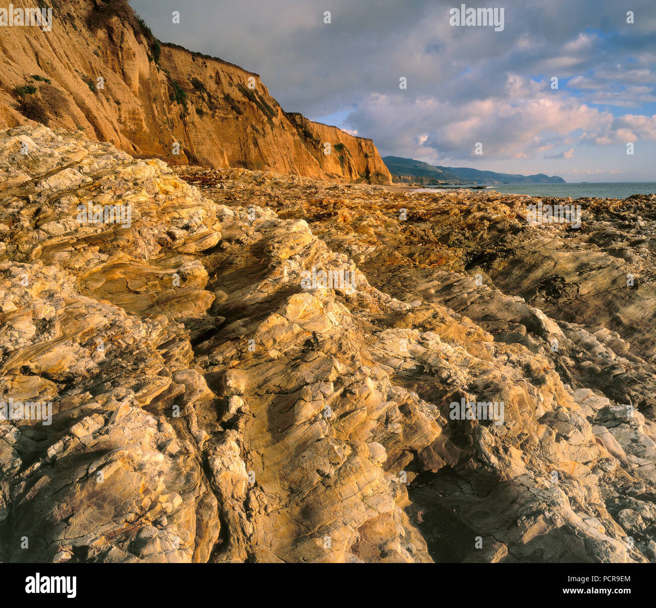 Geformtes, Strand, Burton Wüste, Point Reyes National Seashore, Marin County, Kalifornien Stockfoto