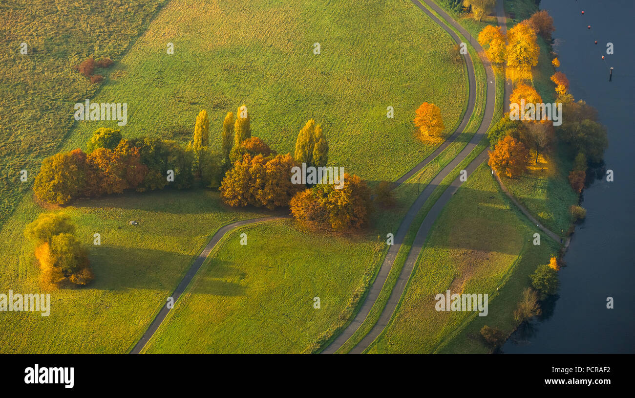 Laubbäume im Herbst, Alte Ruhr-Katzenstein, Witten, Ruhrgebiet, Nordrhein-Westfalen, Deutschland Stockfoto