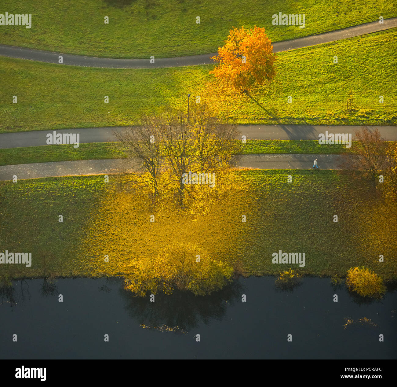 Laubbäume im Herbst, Alte Ruhr-Katzenstein, Witten, Ruhrgebiet, Nordrhein-Westfalen, Deutschland Stockfoto