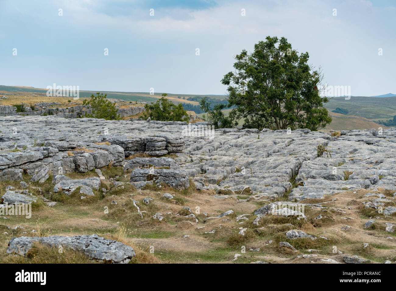 Blick auf die Kalkstein Pflaster über Malham Cove in den Yorkshire Dales National Park Stockfoto