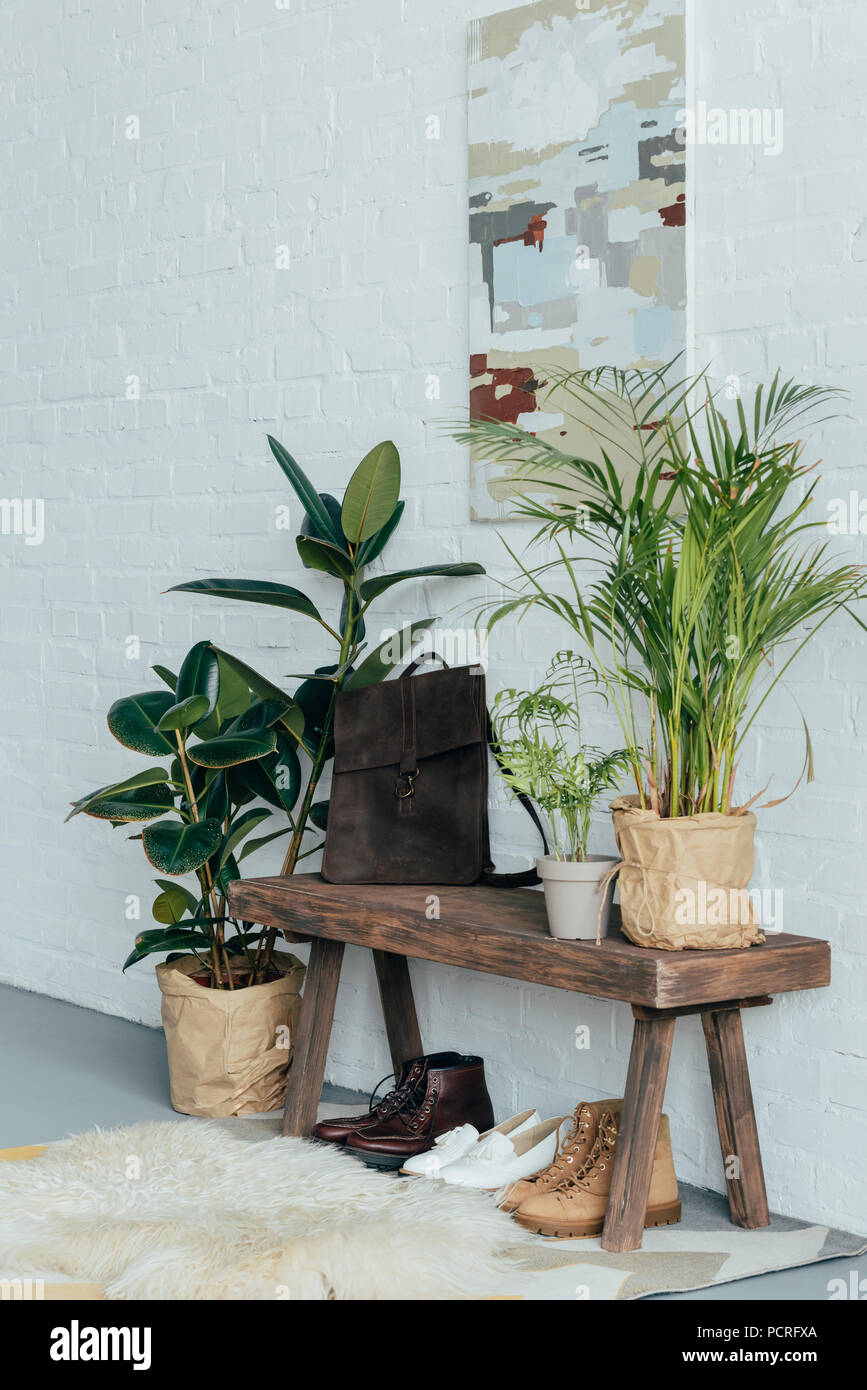 Verschiedene Schuhe unter Holzbank im Korridor, Topfpflanzen auf dem Boden Stockfoto