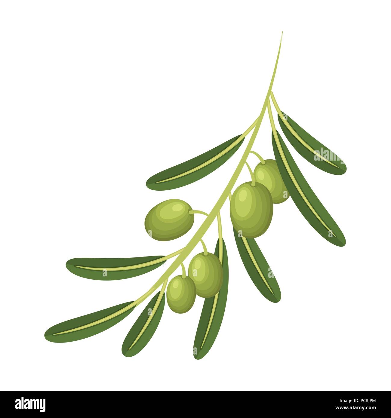Olive Branch. Oliven einzelnen Symbol im Comic-stil Vektor Symbol lieferbar  Abbildung Stock-Vektorgrafik - Alamy