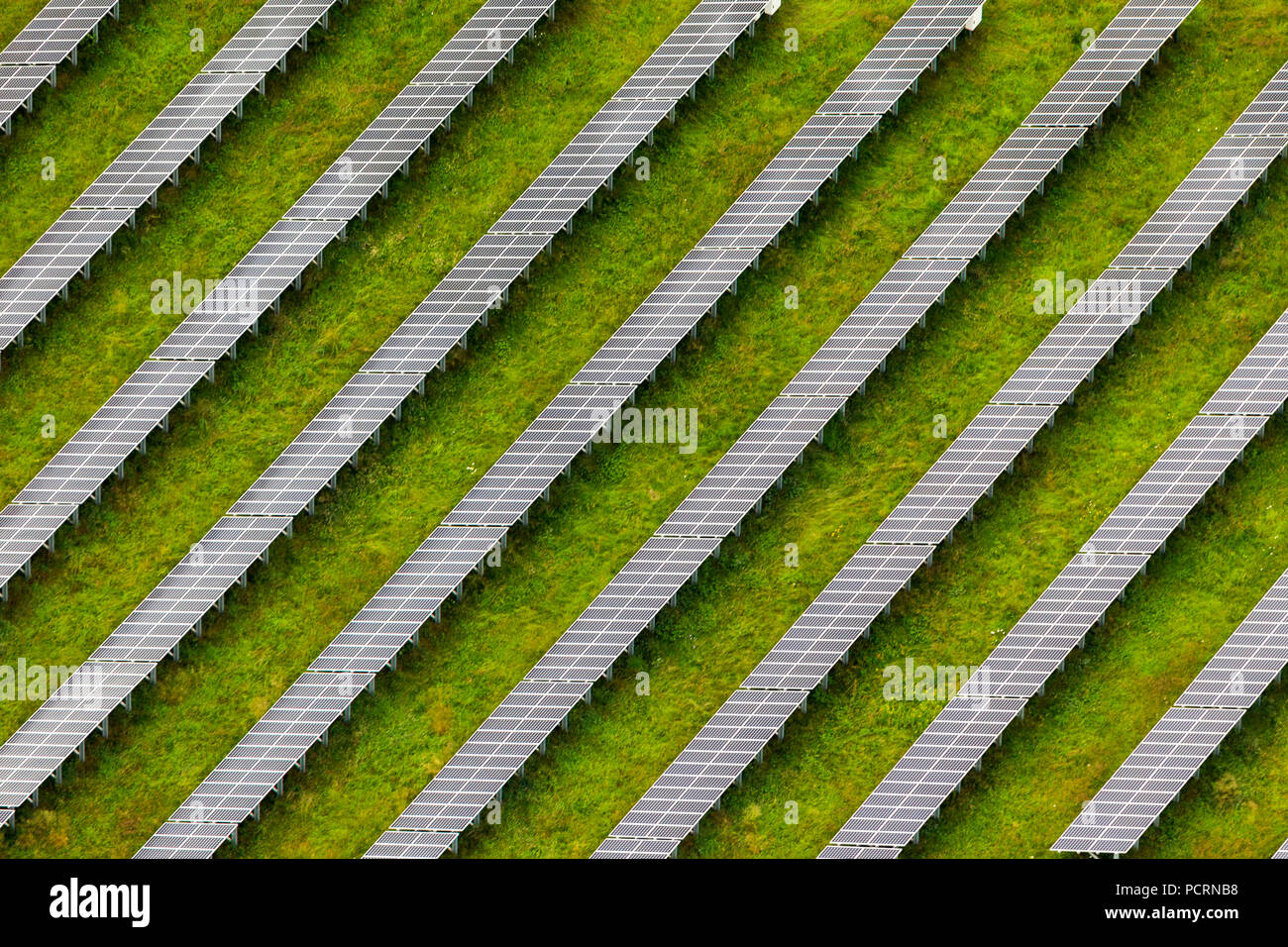 Luftaufnahme, Solaranlage, Feld mit Solarkollektoren, Winterberg, Sauerland, Nordrhein-Westfalen, Deutschland, Europa Stockfoto