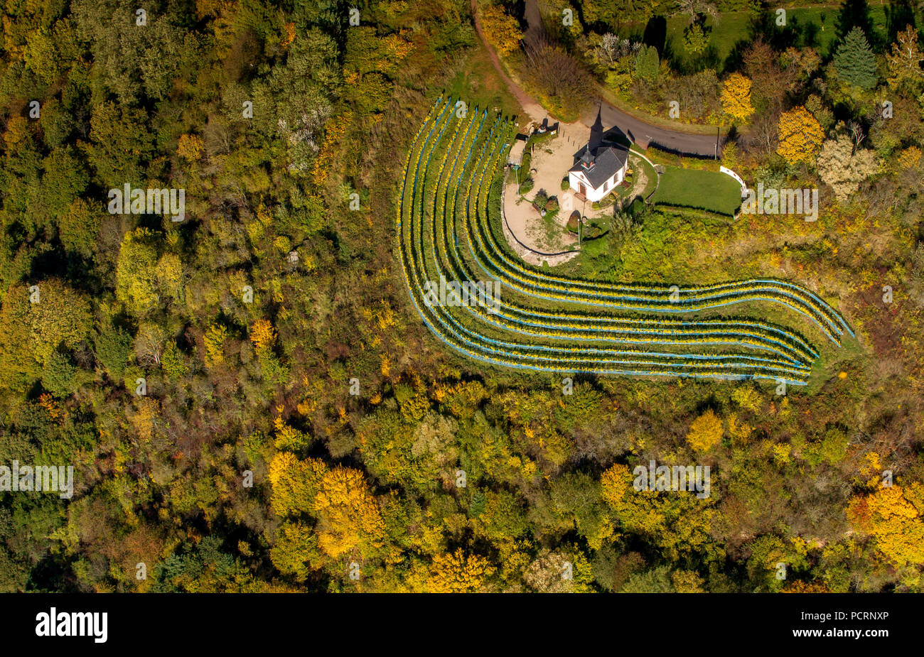 Luftaufnahme, kleine Kapelle am Ellerweg inmitten der Weinberge, Herbst, Herbstlaub, Goldener Oktober, Indian Summer, Merzig, Saarland, Saarland, Deutschland, Europa Stockfoto