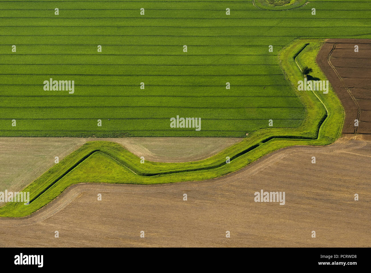 Luftaufnahme, Entwässerungsgraben, Feld, grafische Landschaft, Groß Polzin, Ostsee, Mecklenburg-Vorpommern, Deutschland, Europa Stockfoto