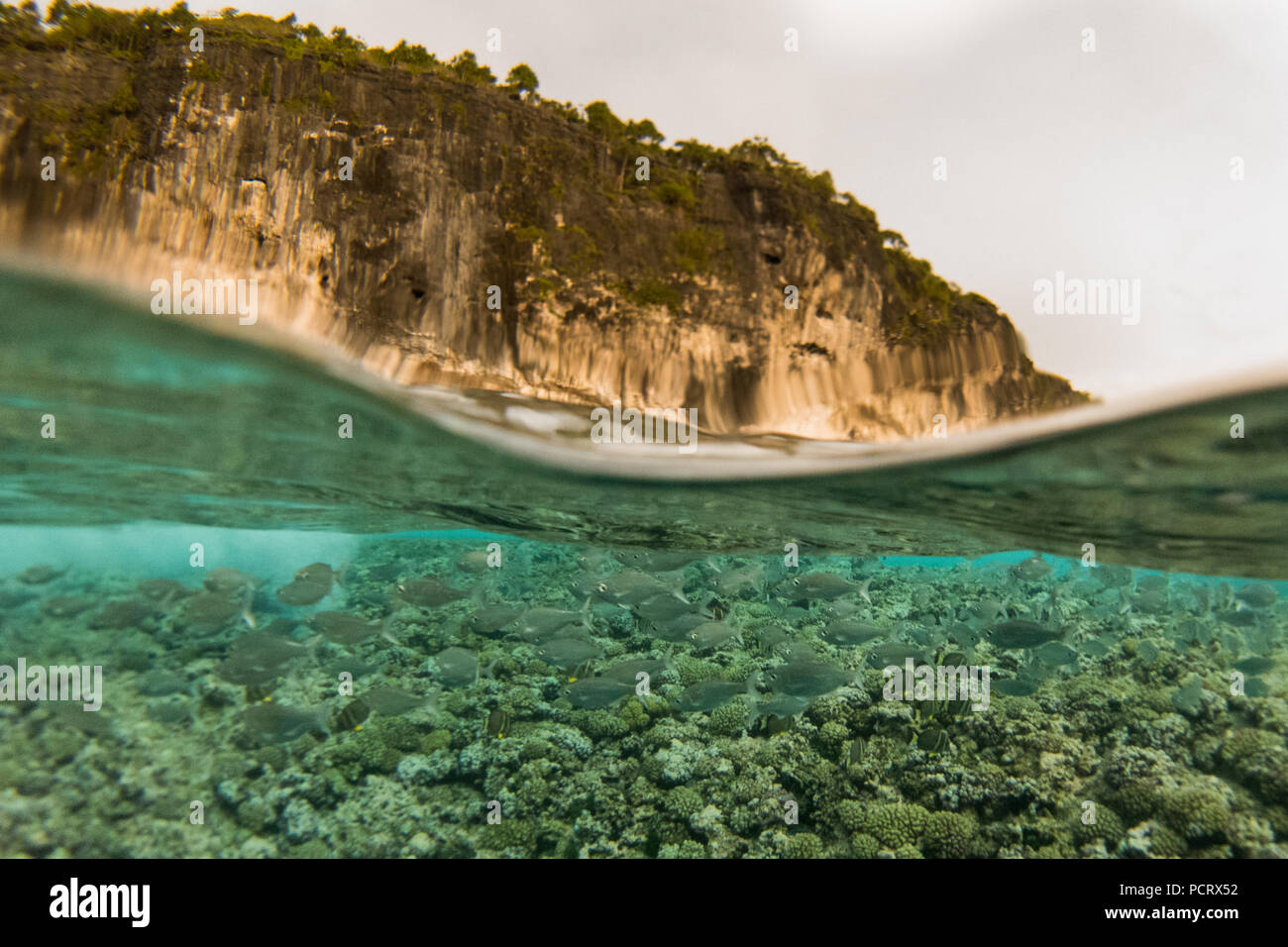 Schnorcheln am uplifted Coral Insel Makatea in Französisch-Polynesien Stockfoto