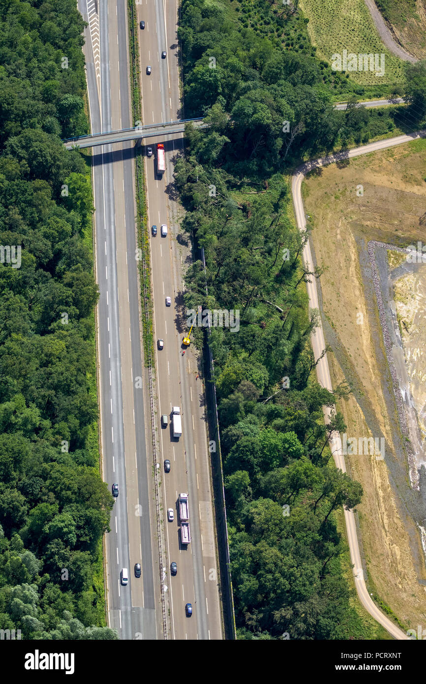 Ein Track auf der A2 westlich von der Autobahn Dreieck auf die A45 Sauerlandlinie geschlossen werden mussten, Castrop-Rauxel, Ruhrgebiet, Nordrhein-Westfalen, Deutschland Stockfoto