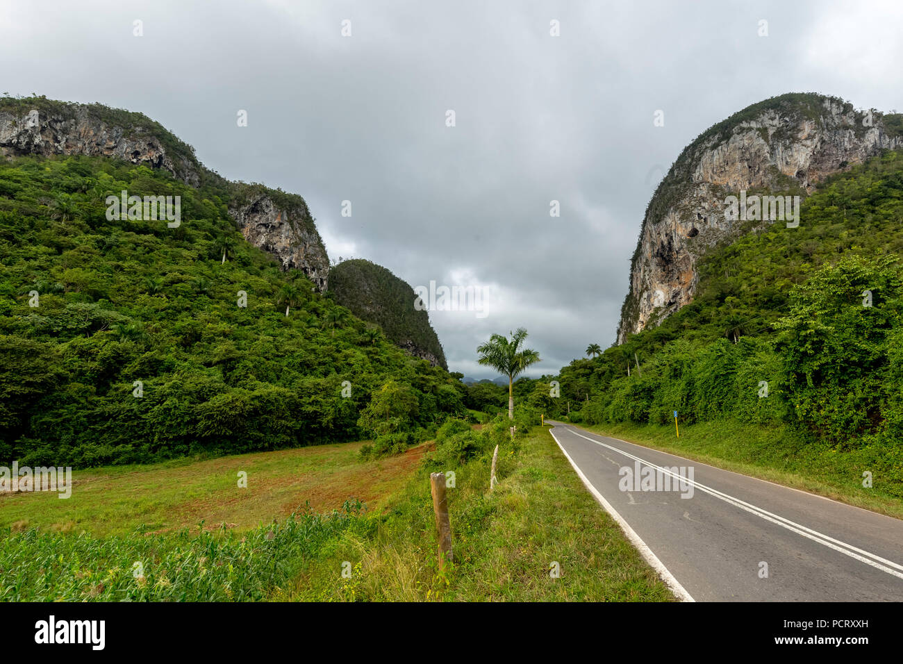 Land Straße mit Mittelstreifen im Tal von Vinales, Viñales, Kuba, Pinar del Río, Kuba, Reisen, Insel, Großen Antillen, Stockfoto