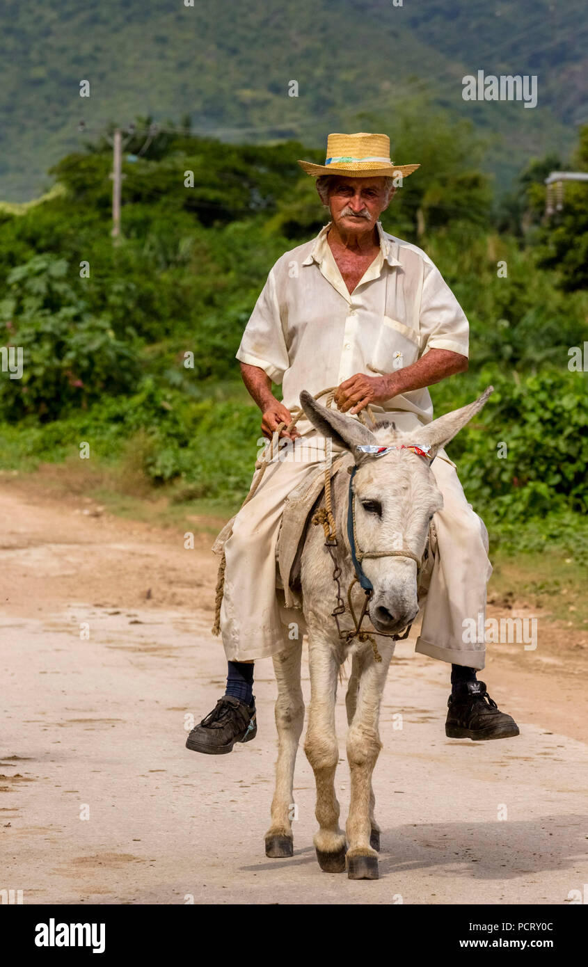 Alte kubanische Bauern auf einen Esel, Maultier mit Hut im Valle de los Ingenios, Trinidad, Kuba, Sancti Spíritus, Kuba Stockfoto