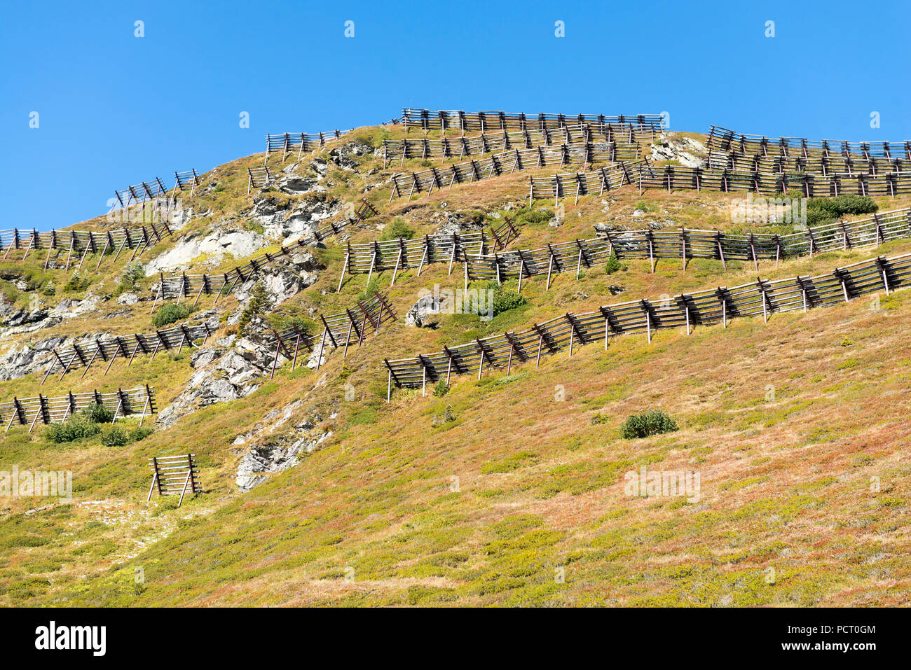 Österreich, Tirol, Alpbachtal, lawinenschutz am Wiedersberger Horn. Stockfoto