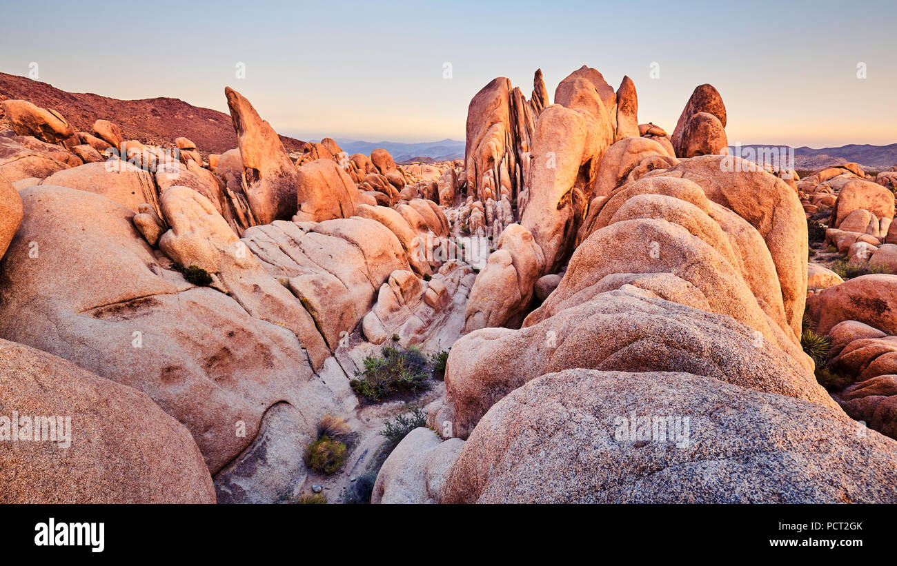 Einzigartige Felsformationen im Joshua Tree National Park bei Sonnenuntergang, Kalifornien, USA. Stockfoto