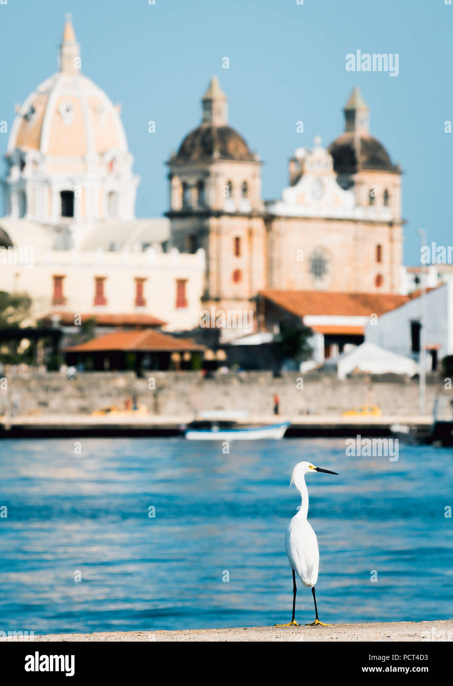 Bilder in Cartagena Kolumbien rund um die Altstadt, schöne Häuser aus der Kolonialzeit. Die alten Fahrrad wir es gegen die alten kolonialen Türen verwenden. Stockfoto