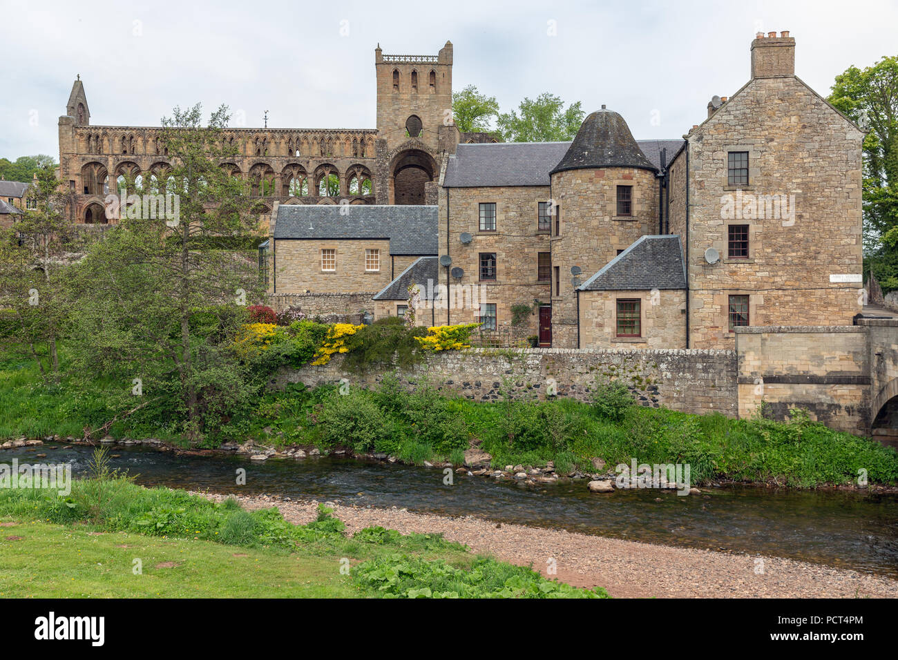 Blick auf die Ruinen der Jedburgh Abbey in Scottish Borders. Stockfoto