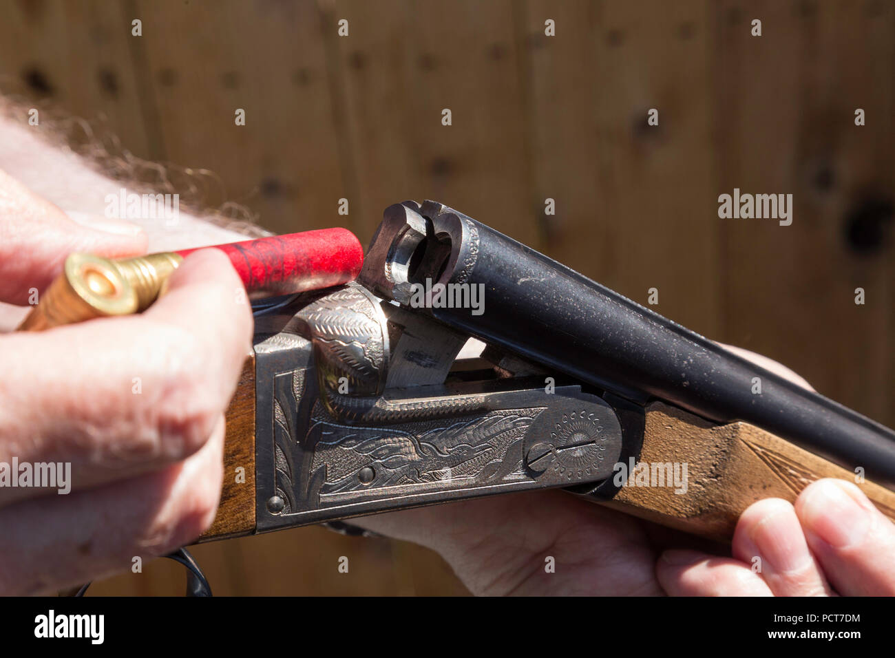 Die Hände des Menschen be double-barrel Shotgun, USA Stockfoto