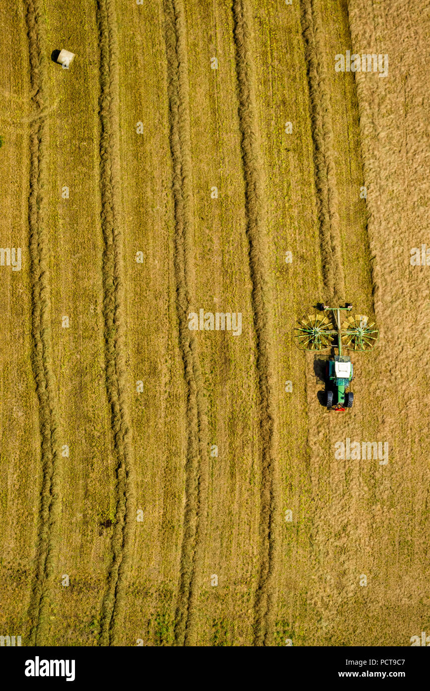 Traktor mit 2 rotierenden Rechen das Heu und Stroh Schwaden auf einem abgeernteten Feld, Getreideernte, Sprockhövel, Ruhrgebiet, Nordrhein-Westfalen, Deutschland Stockfoto