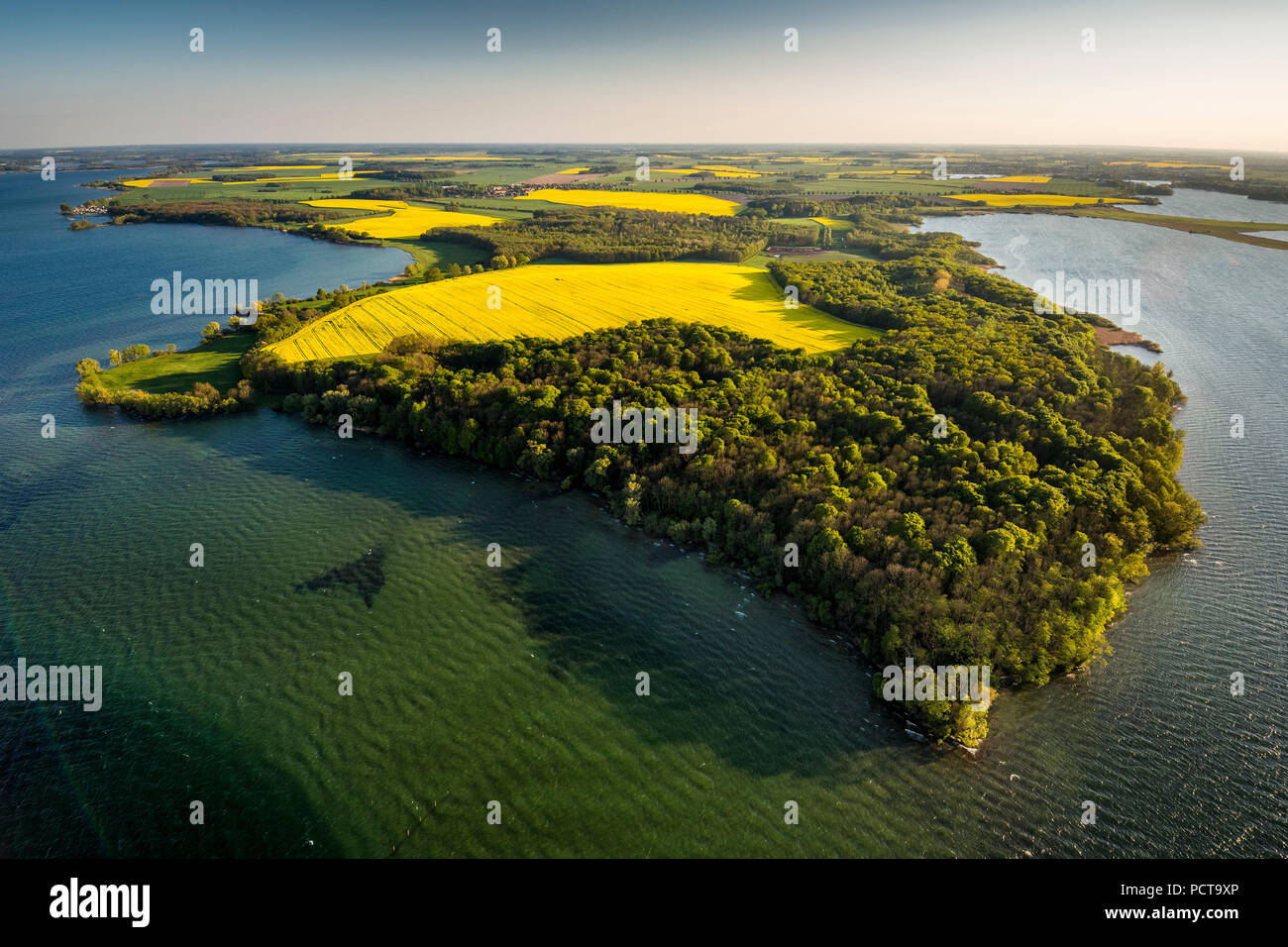 Müritz, Mecklenburg Große Seen, Ludorf, Mecklenburgische Seenplatte, Mecklenburg-Vorpommern, Deutschland Stockfoto