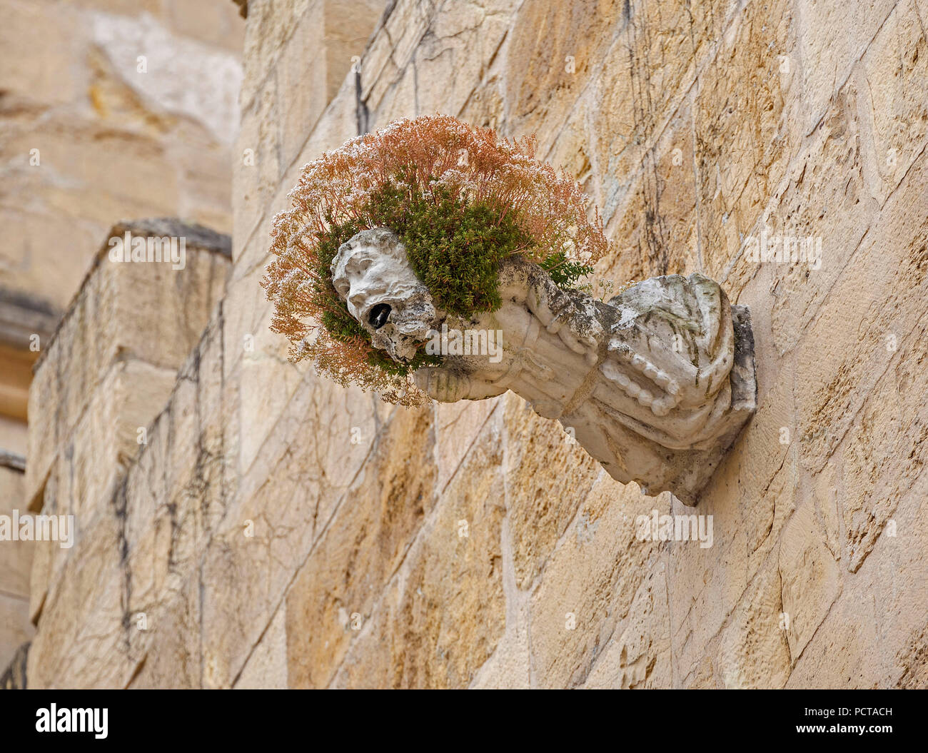Gargoyle, regen Vault auf die Kirche Fassade Alte Kathedrale (Sé Velha), Altstadt von Coimbra, COIMBRA, Coimbra, Portugal, Europa Stockfoto