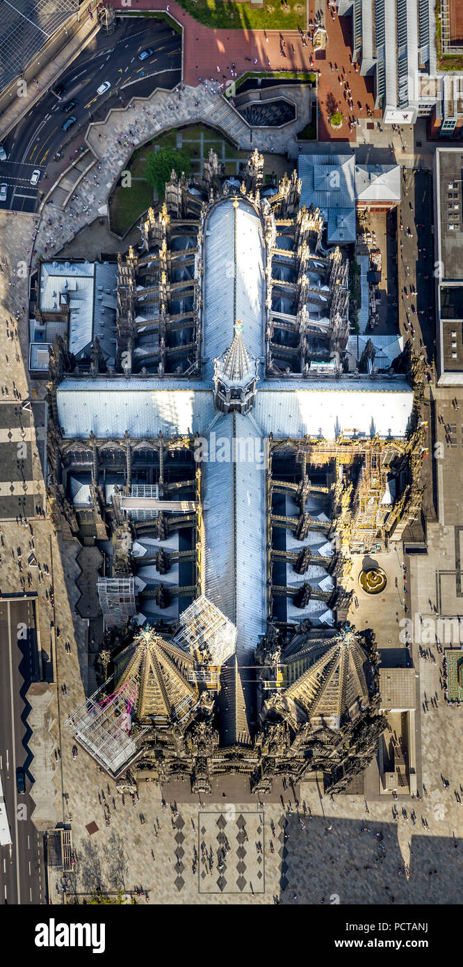 Vertikale Schuß auf den Kölner Dom mit Domplatte, Kreuz, Köln, Rheinland Stockfoto