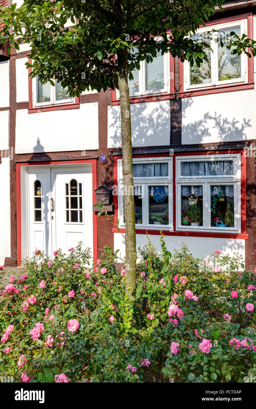Lugde Altstadt Haus Haus Fassade Teutoburger Wald Eggegebirge